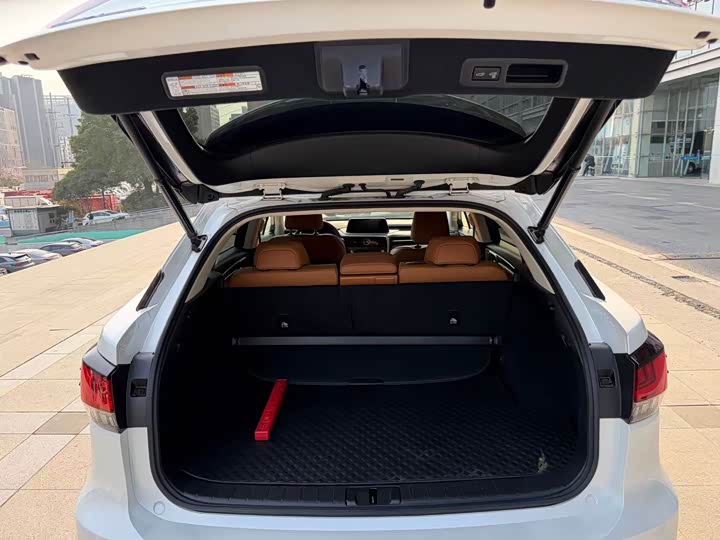 Фото 4 - Lexus RX