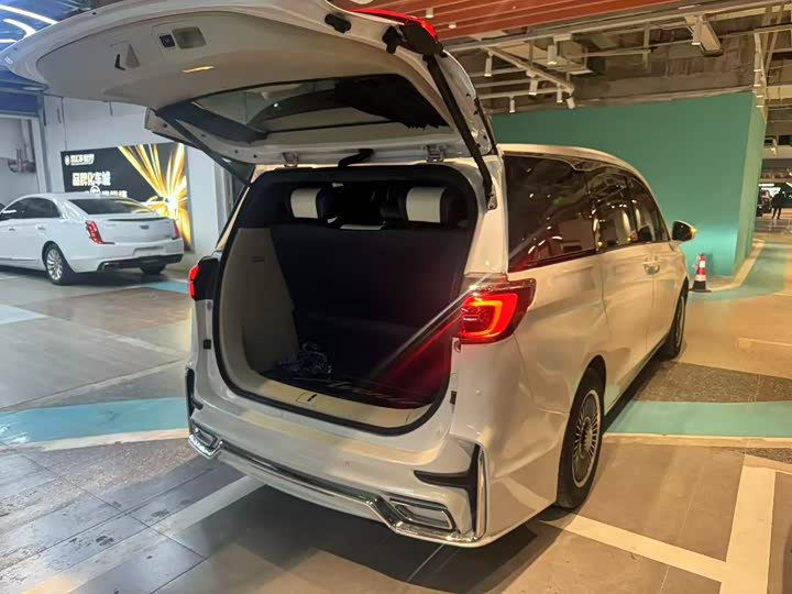 Фото 9 - Buick GL8 ES