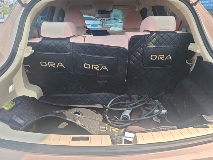 Photo 4 - Ora Good Cat (03)