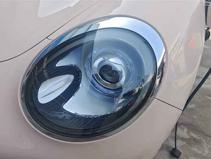 Photo 5 - Ora Good Cat (03)