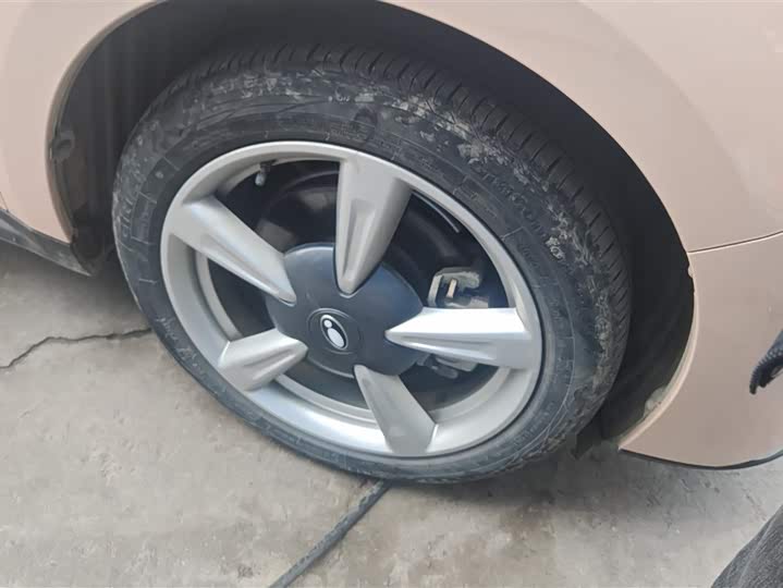 Photo 6 - Ora Good Cat (03)