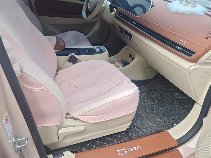 Photo 8 - Ora Good Cat (03)