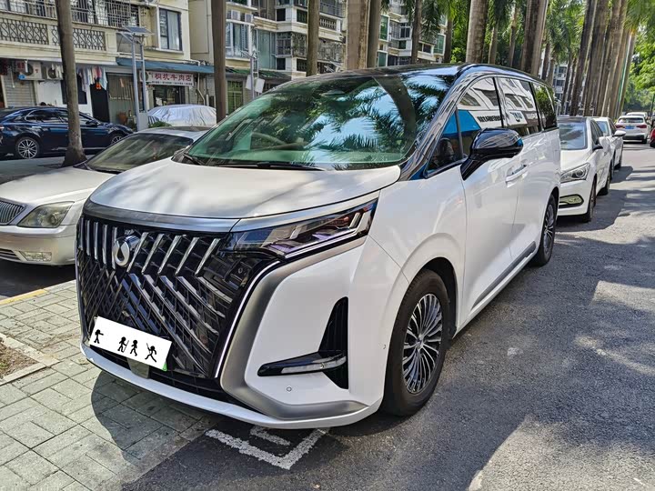 Фото 1 - Denza D9