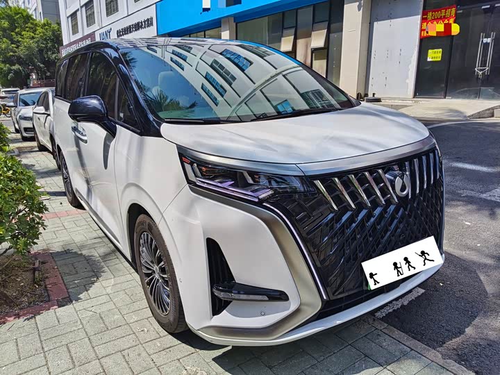 Фото 2 - Denza D9