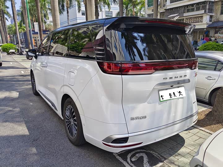 Фото 4 - Denza D9