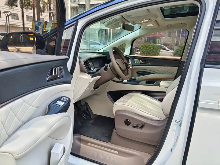 Фото 6 - Denza D9