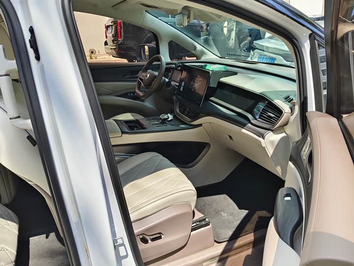 Фото 9 - Denza D9