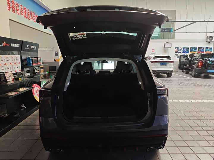 Фото 6 - Jetour Dashing