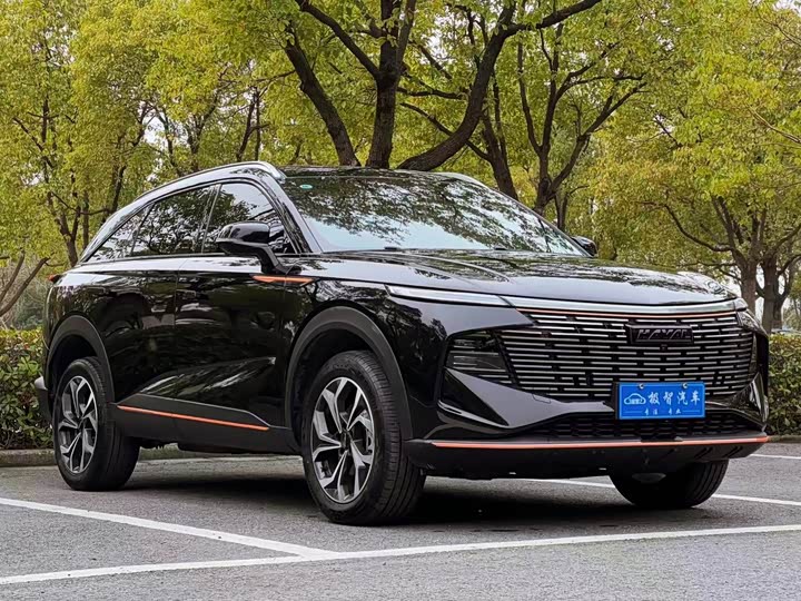 Фото 3 - Haval F7 (Monster)