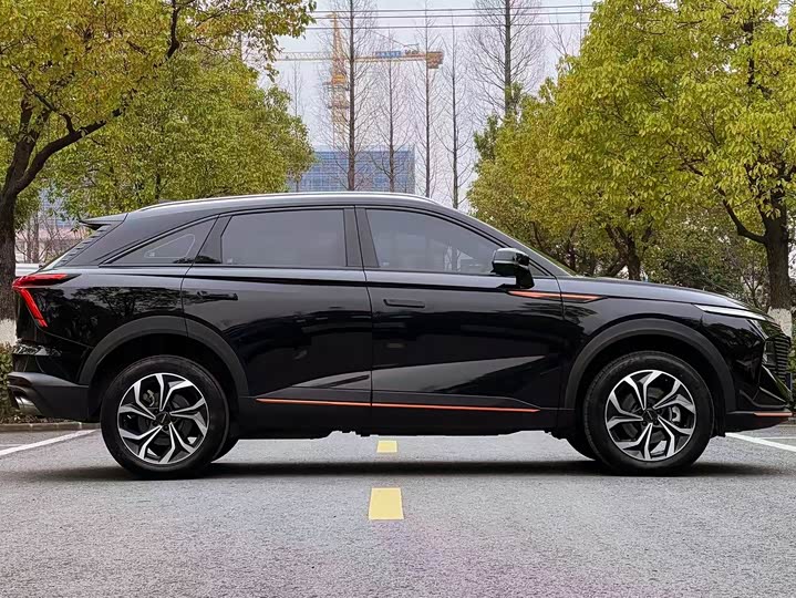 Фото 4 - Haval F7 (Monster)