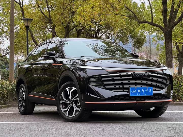 Фото 9 - Haval F7 (Monster)