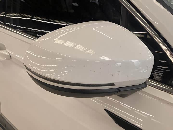 Фото 6 - Volkswagen Tiguan L Pro