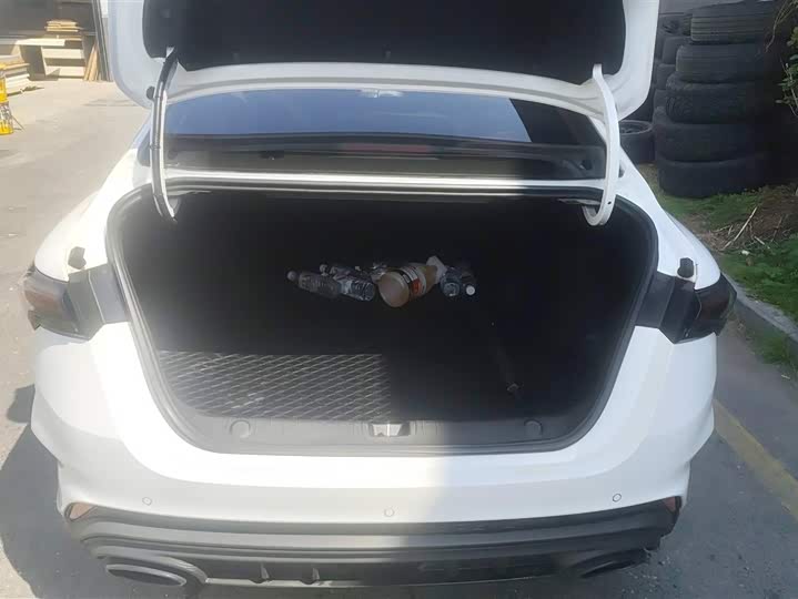 Фото 4 - Geely Binrui