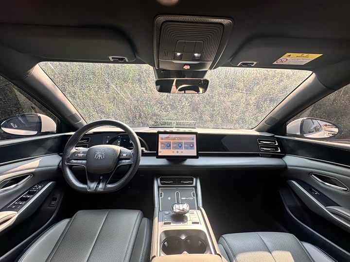 Фото 5 - BYD Qin L