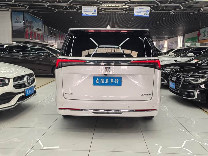 Фото 5 - Buick GL8 ES