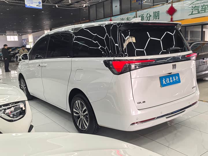 Фото 6 - Buick GL8 ES