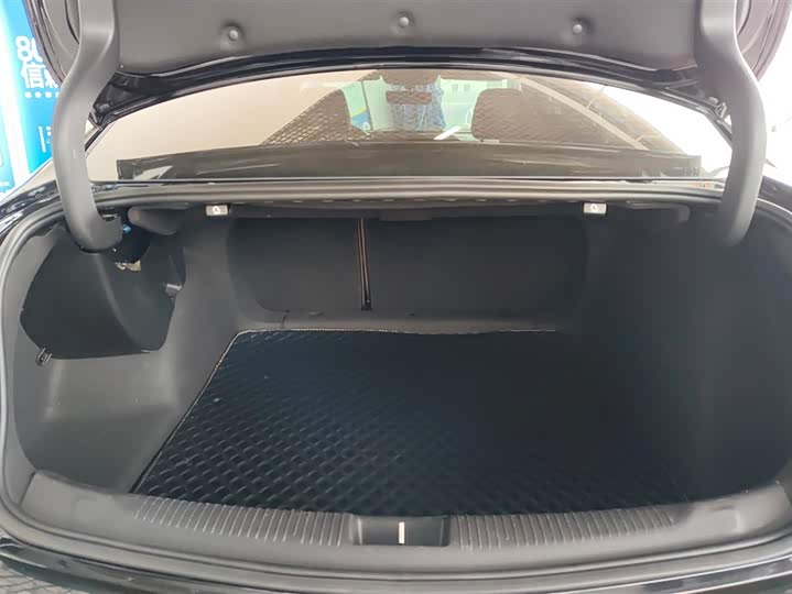 Фото 4 - Buick Regal