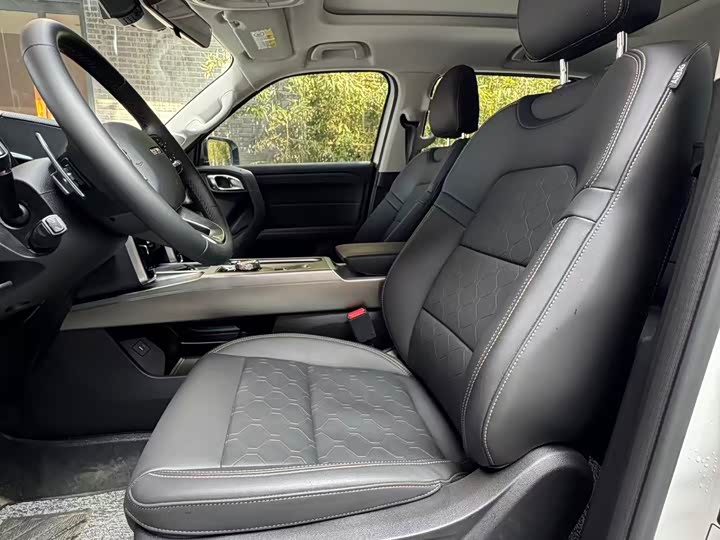 Photo 4 - Haval Dargo