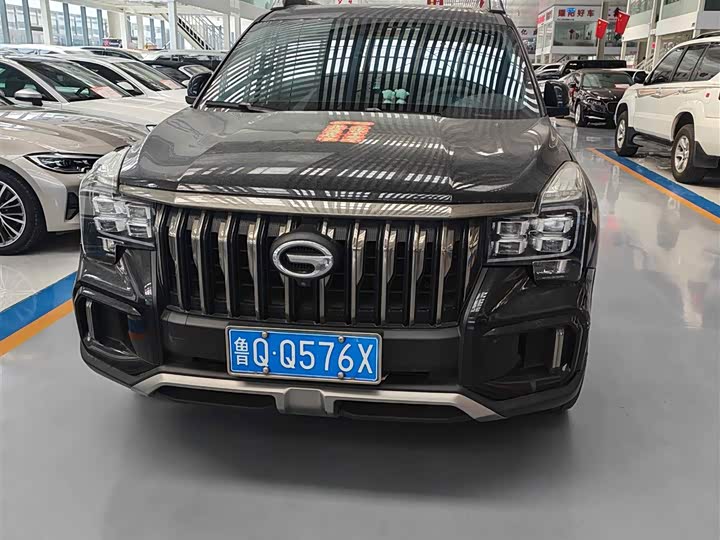 GAC Trumpchi GS8 2020 2020款 GS8S 390T 两驱豪华智联版