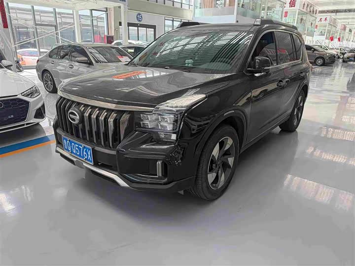 GAC Trumpchi GS8 2020 2020款 GS8S 390T 两驱豪华智联版