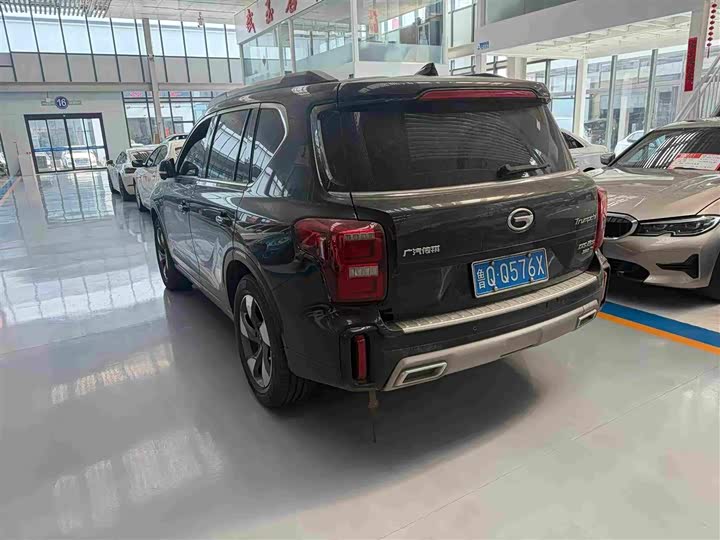 GAC Trumpchi GS8 2020 2020款 GS8S 390T 两驱豪华智联版