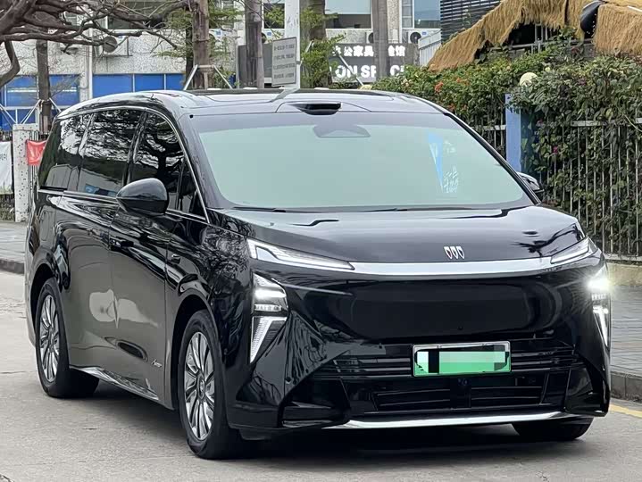 Фото 3 - Buick OMPV