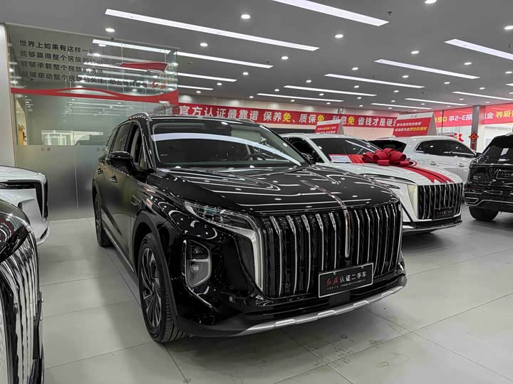 Photo 3 - Hongqi HS7 Hybrid