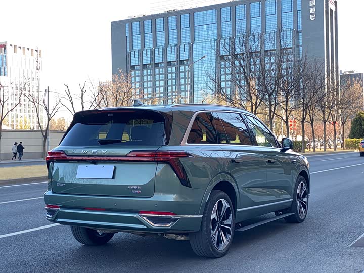 Photo 4 - Wey Lanshan