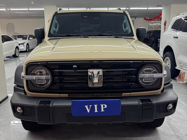 Фото 2 - Tank 300