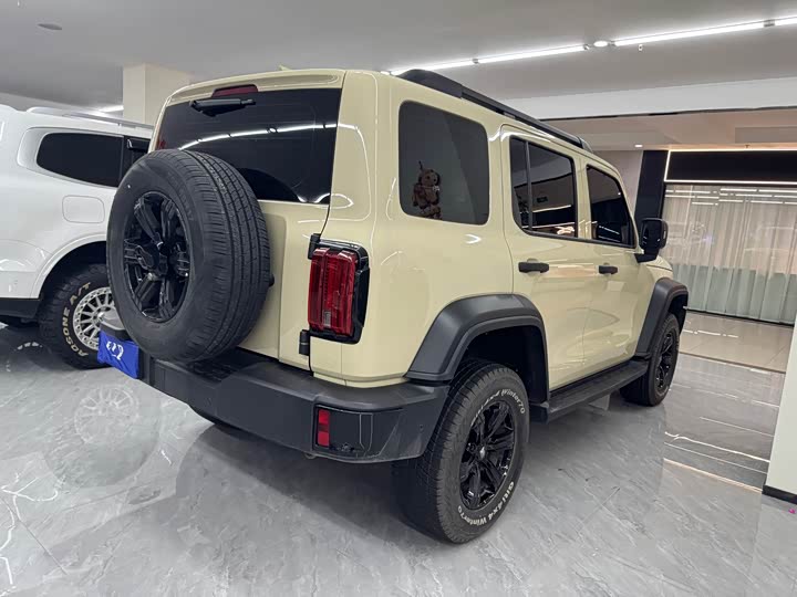 Фото 4 - Tank 300