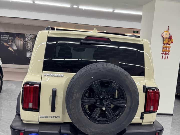 Фото 5 - Tank 300