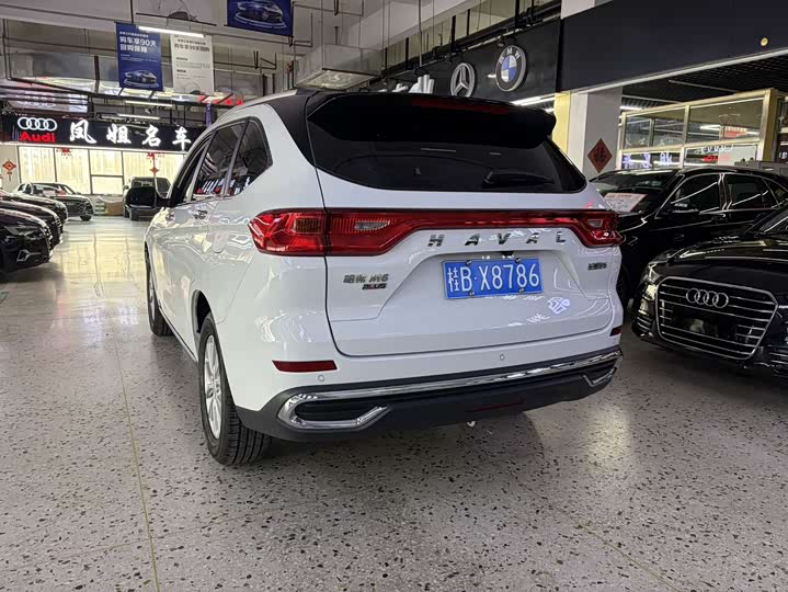 Фото 4 - Haval M6
