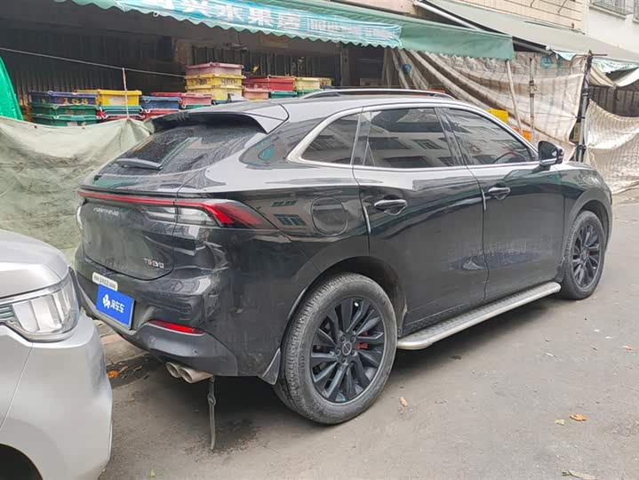 Фото 3 - Dongfeng Forthing T5 EVO