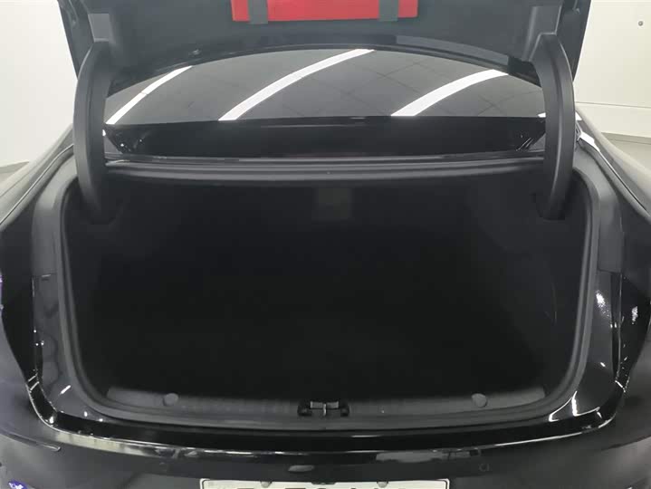 Фото 4 - BYD Han