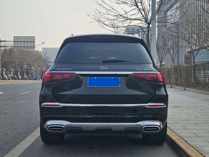 Фото 5 - Mercedes-Benz Maybach GLS