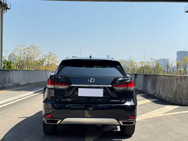 Фото 8 - Lexus RX