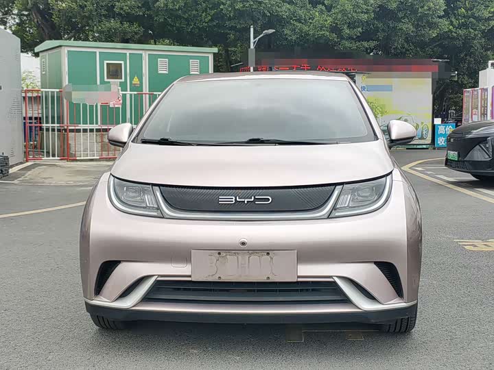 Фото 2 - BYD Dolphin