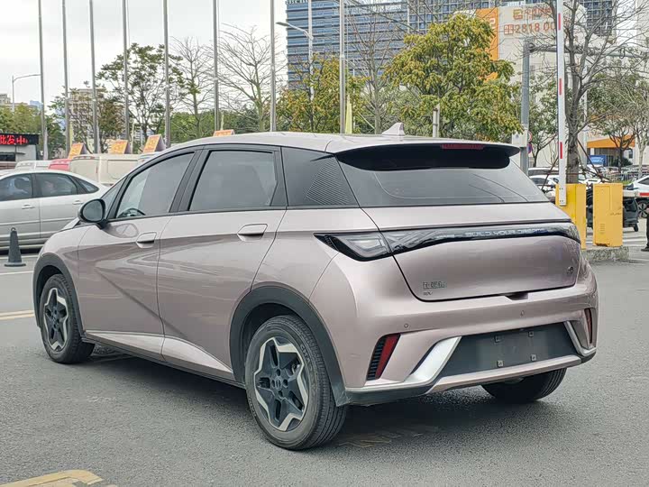 Фото 3 - BYD Dolphin