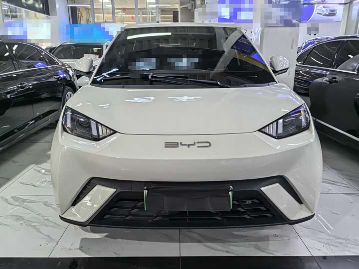 Фото 2 - BYD Seagull