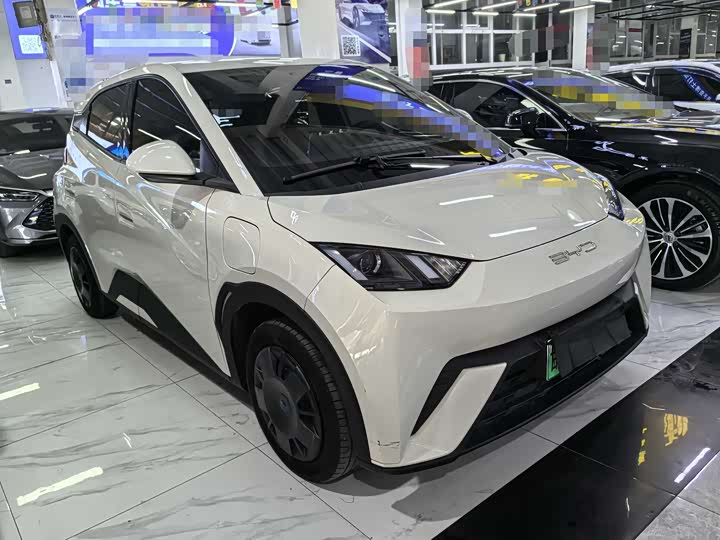 Фото 3 - BYD Seagull