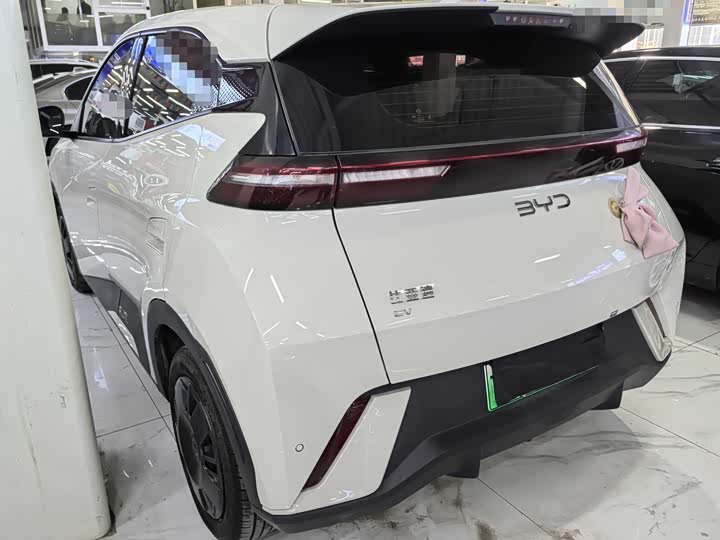 Фото 4 - BYD Seagull