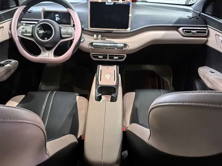 Фото 8 - BYD Seagull