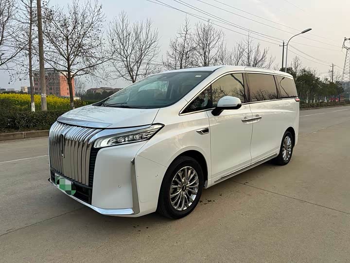 Фото 2 - Wey Gaoshan