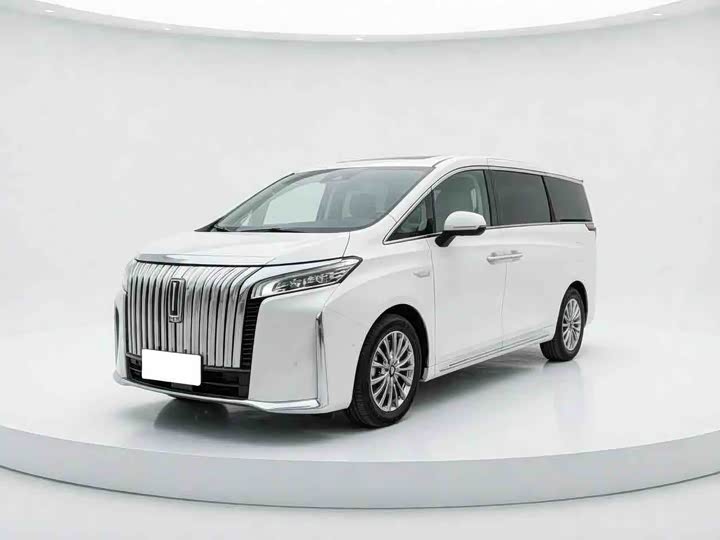 Фото 3 - Wey Gaoshan