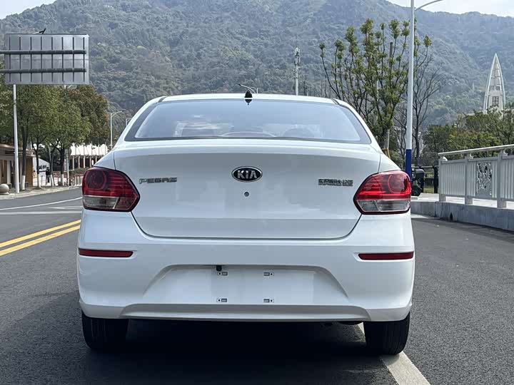 Фото 7 - Kia Pegas
