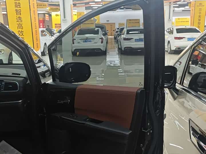 Фото 8 - Honda Elysion