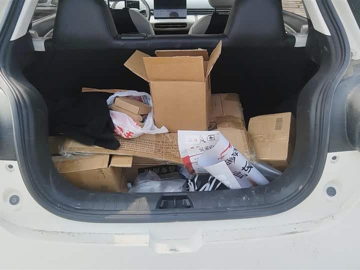 Photo 4 - Dongfeng Yipai 01