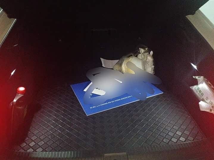 Фото 4 - Volkswagen CC