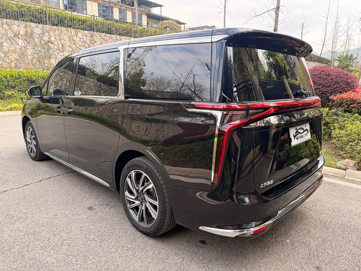 Фото 7 - Maxus G90