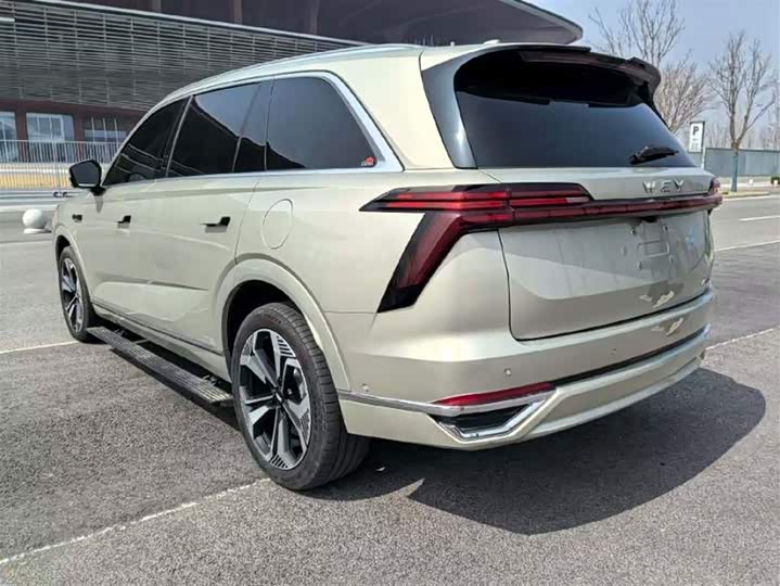 Фото 4 - Wey Lanshan